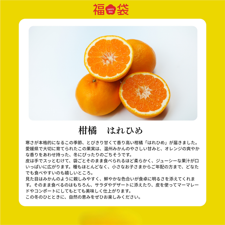 新春！2026 SOIL TABLEが厳選！愛媛県産フルーツ福袋