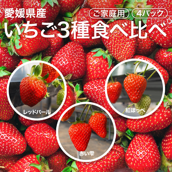 レッドパール・赤い雫・紅ほっぺ 愛媛県産 いちご 3種食べ比べご