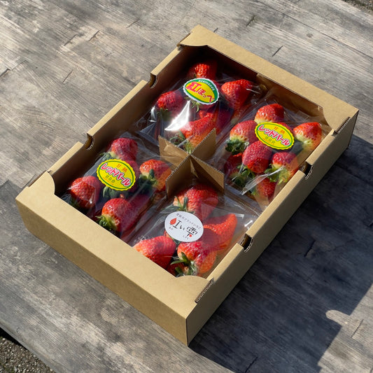 愛媛県産 いちご3種食べ比べご家庭用セット 4パック入り | レッドパール・赤い雫・紅ほっぺ
