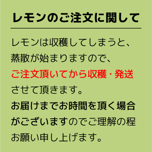 今季初! グリーンレモン2kg 訳あり・家庭用【農薬不使用】愛媛県大三島産  瀬戸内レモン