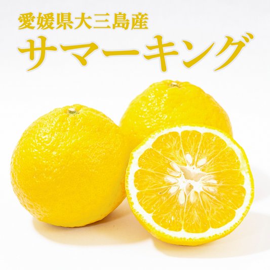 愛媛県産 サマーキング ご家庭用 みかん・柑橘
