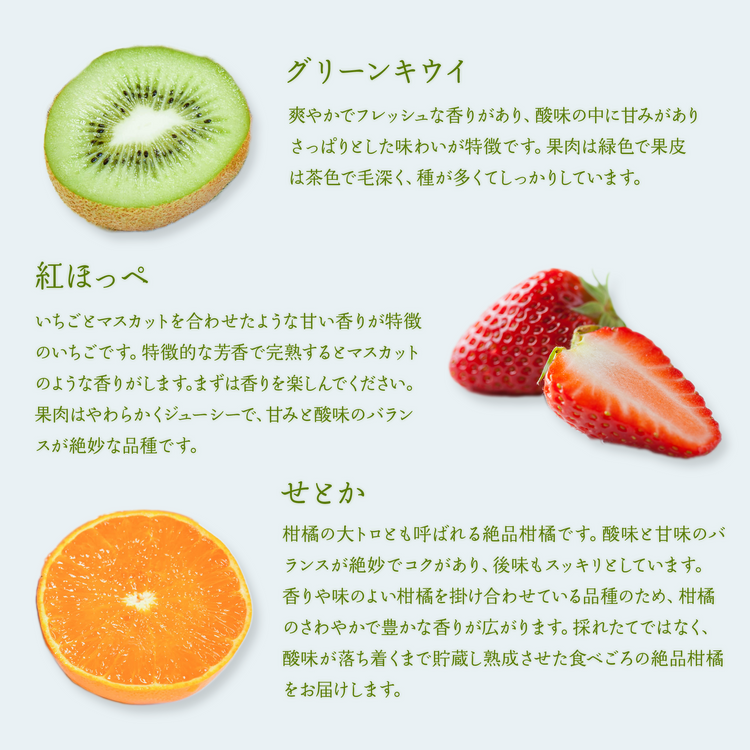 【期間限定】春の果実3種セット(グリーンキウイ,紅ほっぺ,せとか)