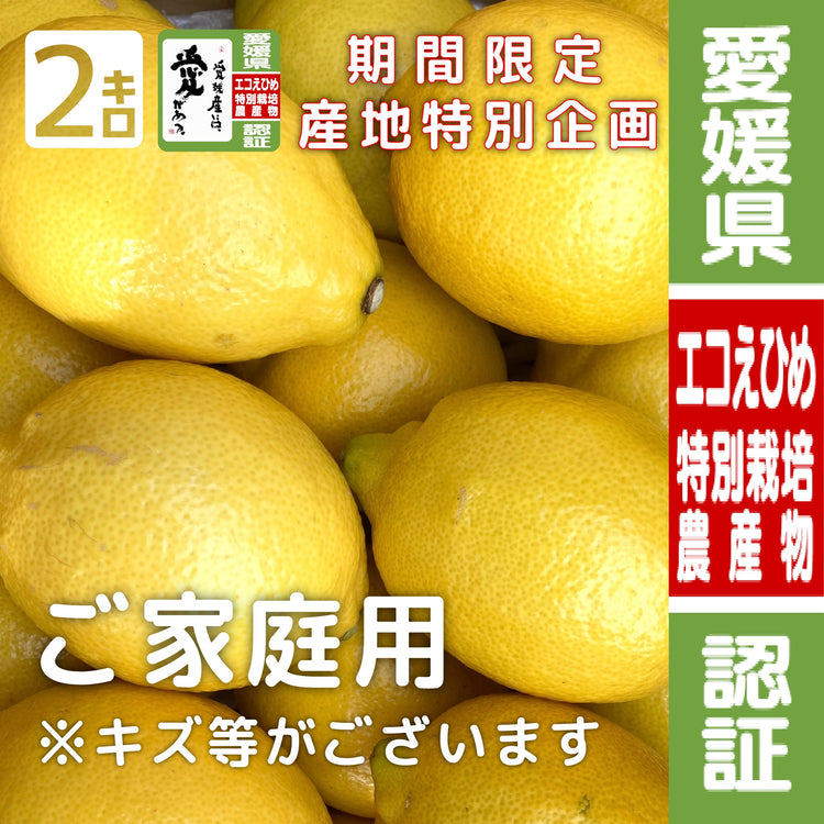 大三島産 国産レモン 2kg イエローレモン | 農産物認証 特別栽培 [ 2kg ] | #産地特別企画 #数量限定 #期間限定