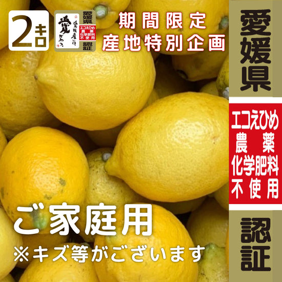愛媛県産エコレモン家庭用20キロ国産レモン