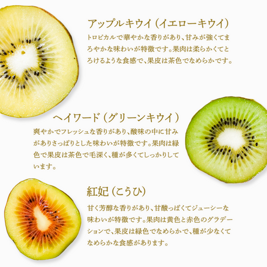 【期間限定】キウイ3種食べ比べセット(アップルキウイ、ヘイワード、グリーンキウイ)